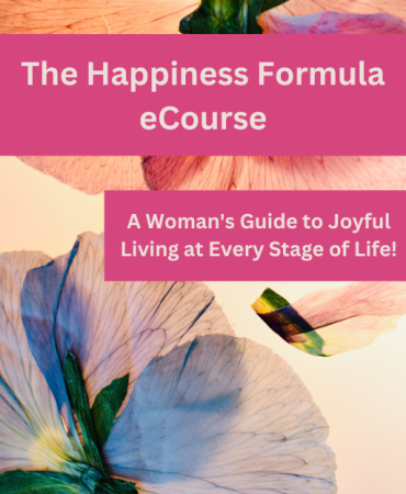 The Happiness Formula Main Course Cover